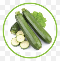 Zucchini - Abobrinha Zukini Png,Zucchini Png