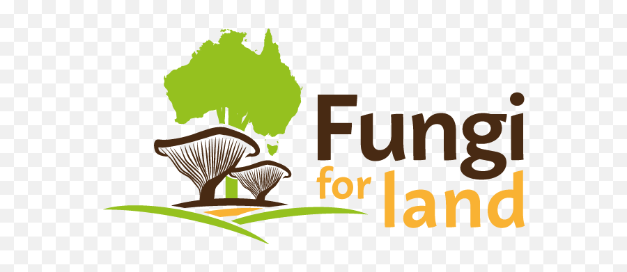 Fungibatikshirts3sm U2013 Fun Fungi Ecology - Fungi In Clinical Microbiology Ppt Png,Fungi Png