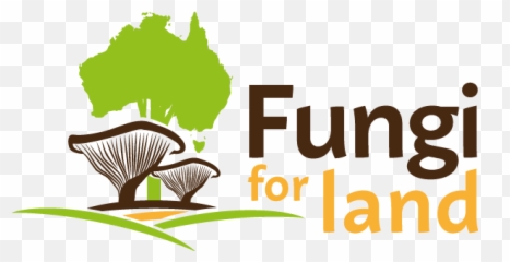 Fungibatikshirts3sm U2013 Fun Fungi Ecology - Fungi In Clinical Microbiology Ppt Png,Fungi Png