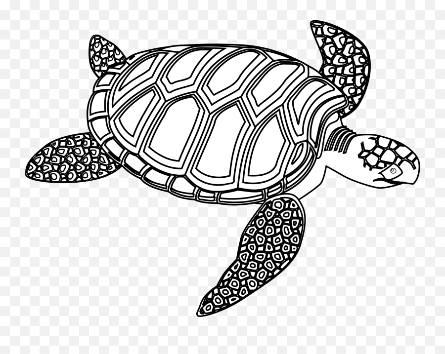 Sea Turtle Clipart Black And White Free U2013 Gclipartcom - Sea Turtle Clipart Black And White Png,Turtle Clipart Png
