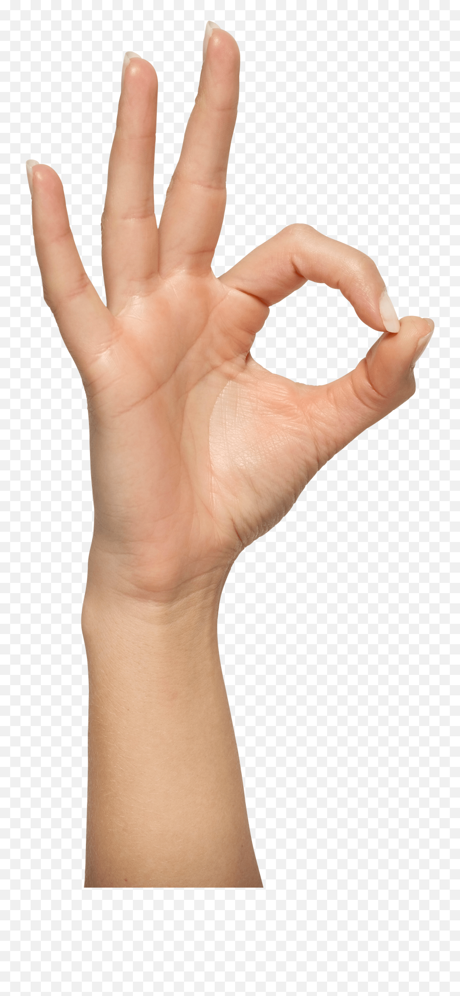 Download Human Hand Png - Ok Hand Sign Png,Skeleton Hand Png