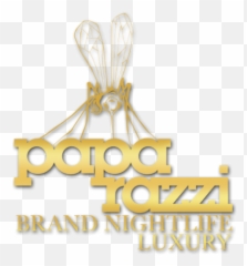 Paparazzi Free Png Transparent Image - Poster
