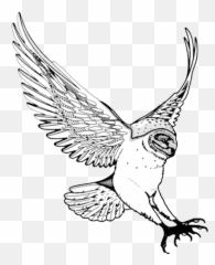 Barn Owl Swooping - Drawn Flying Owl Png,Barn Owl Png
