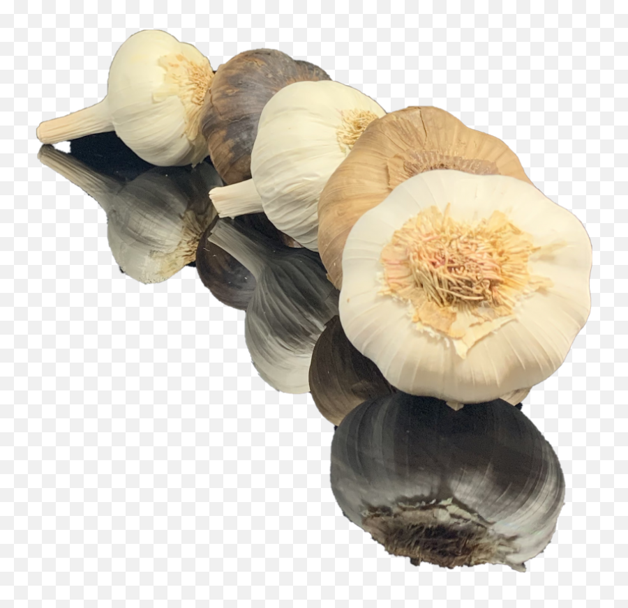 Augustu0027s Harvest Ontariou0027s Garlic Grower - Persian Buttercup Png,Garlic Transparent Background