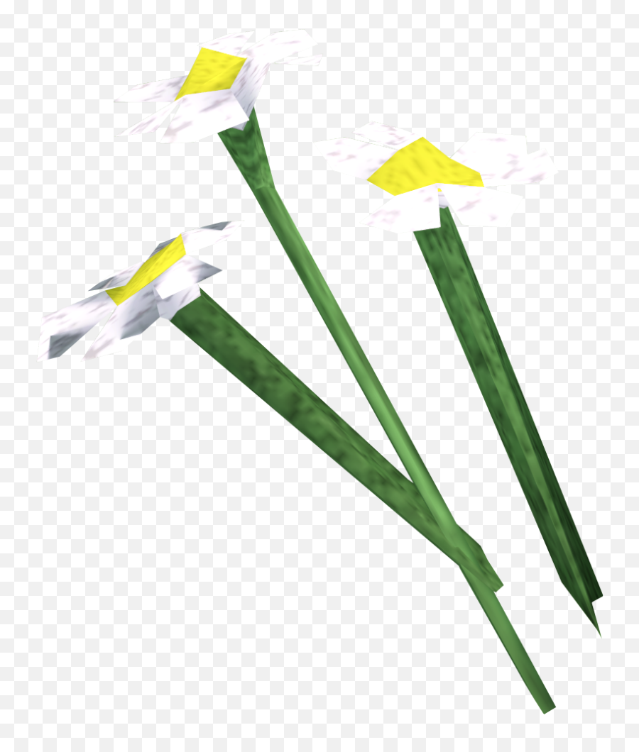 White Flowers Runescape Wiki Fandom - Runescape White Flower Png,White Flower Transparent
