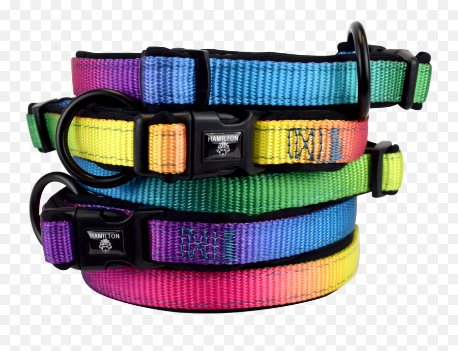Rainbow Collars With Neoprene Padding U2013 Hamilton Products - Martingale Png,Dog Collar Png