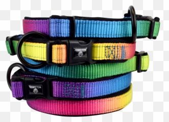Rainbow Collars With Neoprene Padding U2013 Hamilton Products - Martingale Png,Dog Collar Png