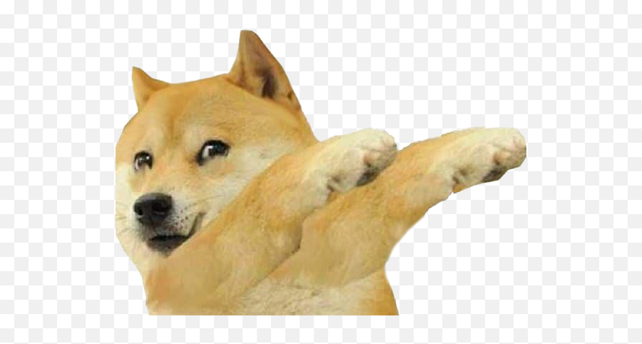 Shiba Inu Doge Meme Png Photos - Doge Dabbing Meme - free ...