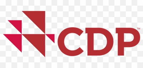 Alphabet Citigroup Walmart Make - Smart Energy Decisions Carbon Disclosure Project Cdp Logo Png,Citigroup Logo
