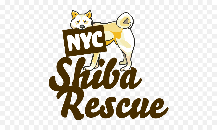 Shiba Inu Rescue - Consciously Cool Chick Northern Breed Group Png,Shiba Inu Transparent