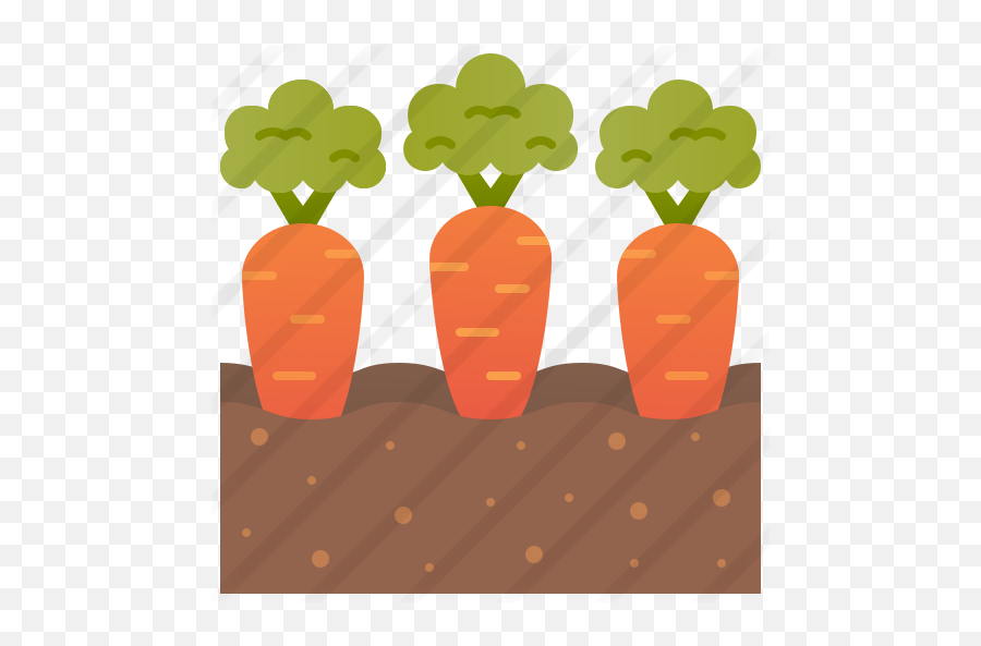 Zanahoria - Iconos Gratis De Comida Baby Carrot Png,Zanahoria Png