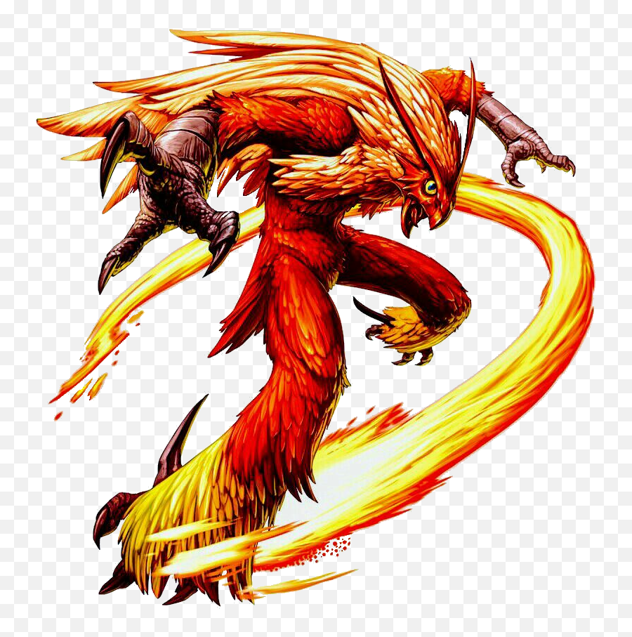 Blaziken Bugpayne - Illustrations Art Street Real Life Blaziken Pokemon Png,Blaziken Png