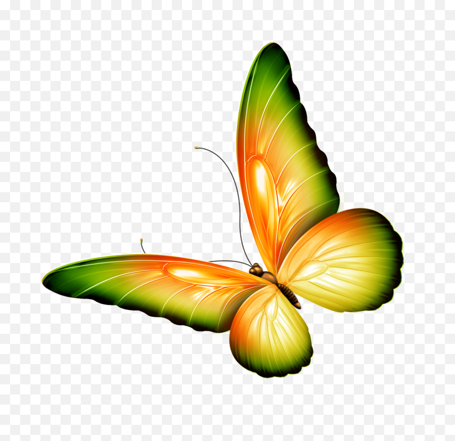 Yellow And Green Transparent Butterfly Clipart Free Image - Transparent Background Butterfly Clipart Png,Butterfly Transparent