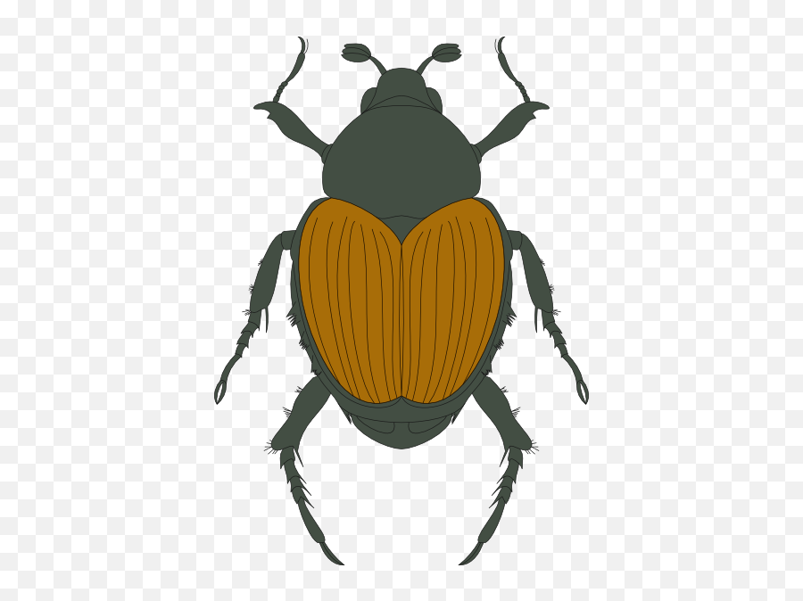 Set Use Green And Brown Beetle Icon Png - Parasitism,Beetle Icon