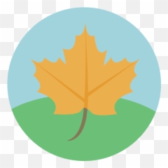 Free Icon Maple Leaf - Sugar png