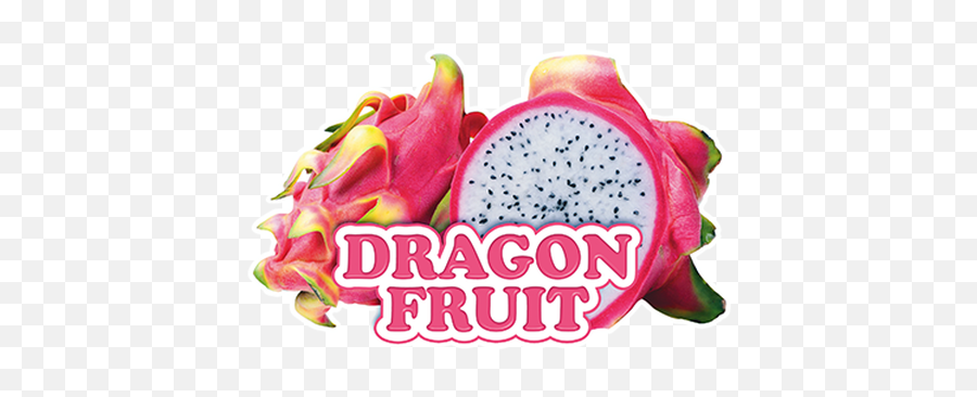 Slush Puppie Dragon Fruit Slushy Mix 275l Peacecountrycoffee - Dragon Fruit Png,Dragon Fruit Icon