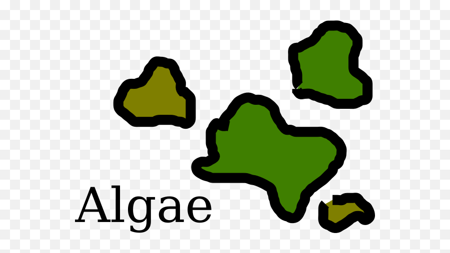 Algae Clip Art - Vector Clip Art Online Clip Art Png,Algae Png