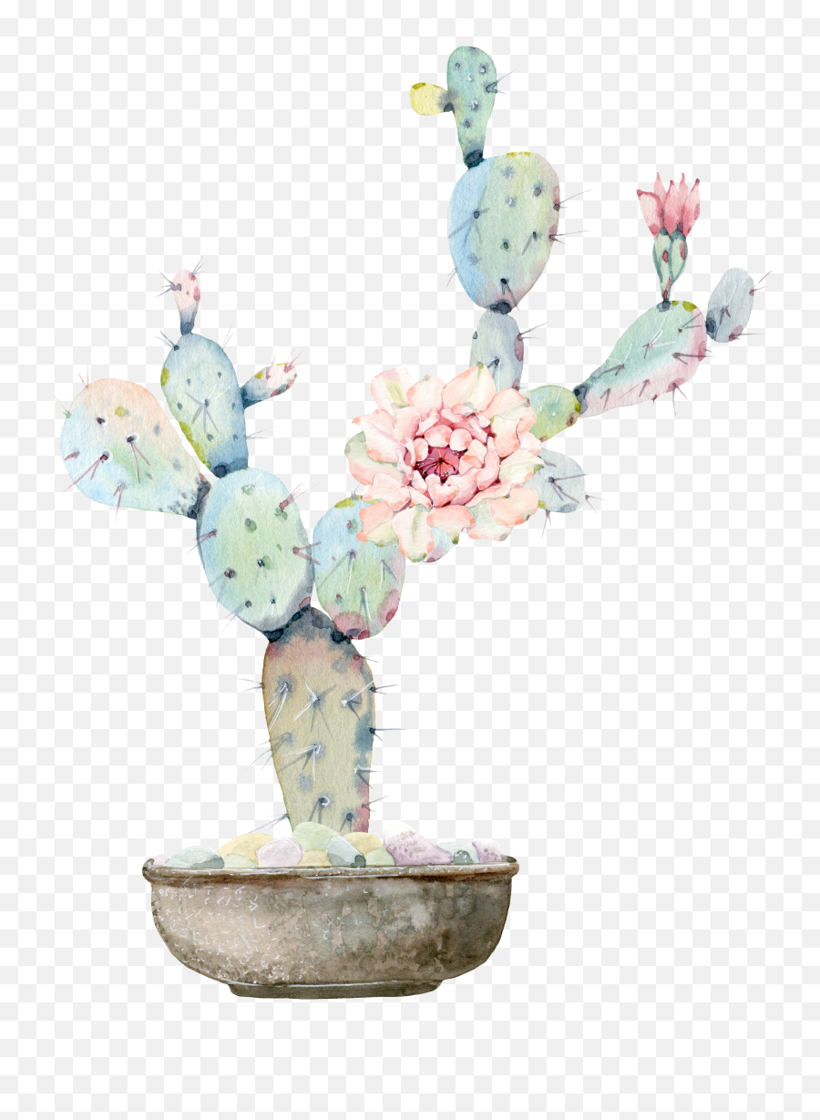 Watercolour Flowers Watercolor Painting Png Cactus
