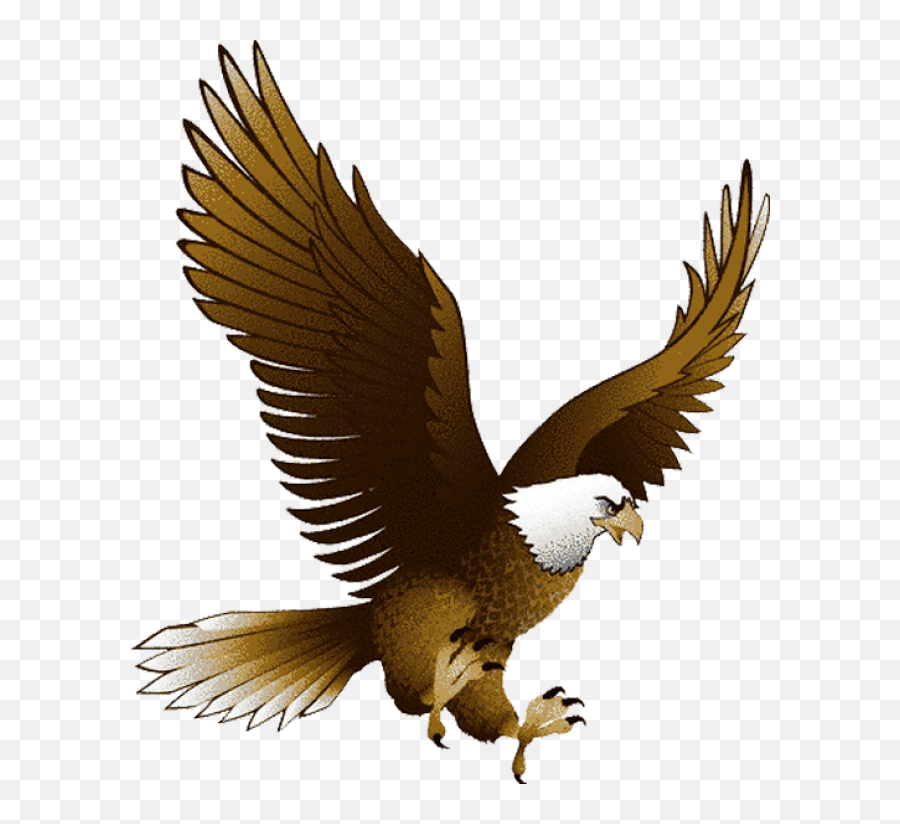 Png Transparent Eagle - Eagle Png,Transparent Png Images Download