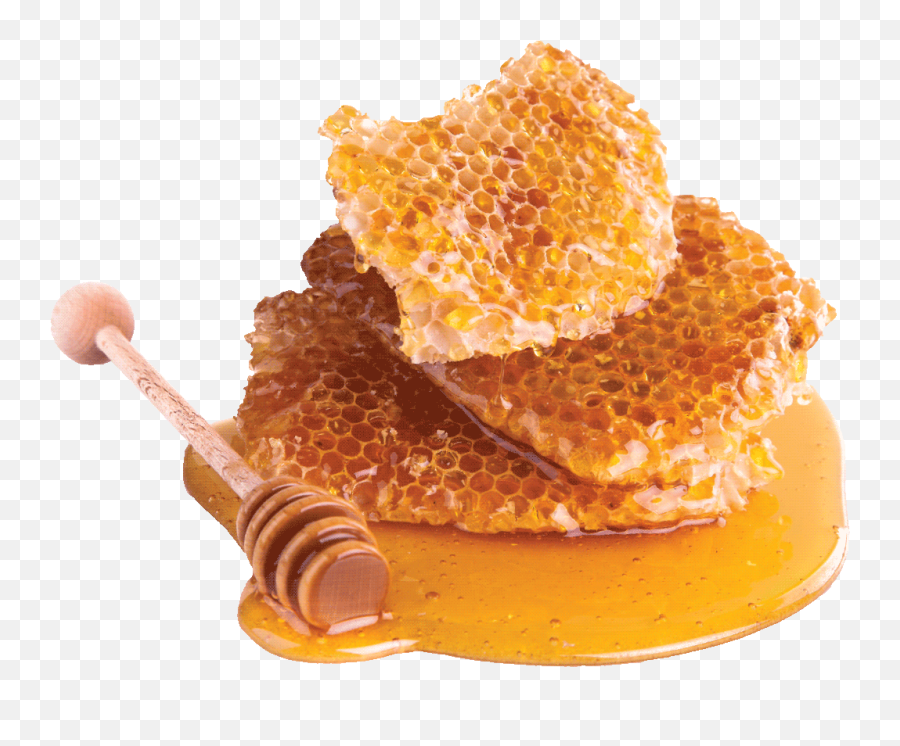 Honey Transparent Png File - Transparent Background Honey Png,Honey Transparent