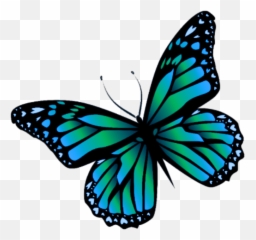 Butterfly Mariposa Monarch Monarca - Butterfly Stickers Transparent Background Png,Mariposa Png