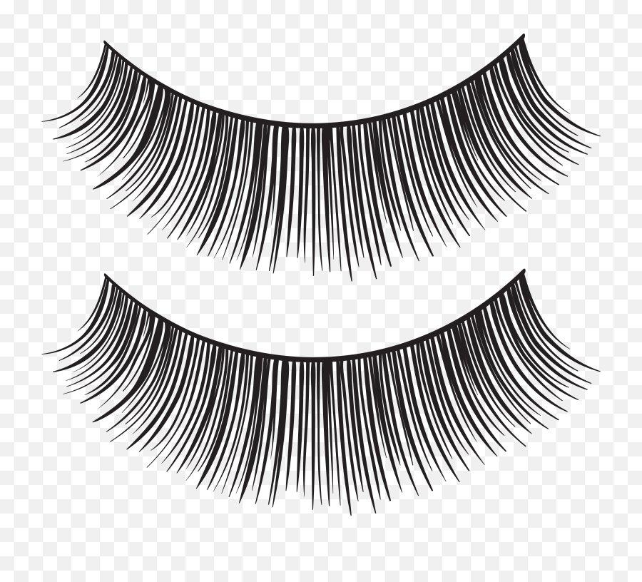 Eyelash Extensions Mascara Clip Art Png Eyelashes Transparent Background