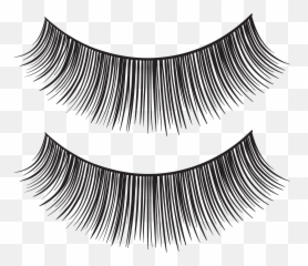 Eyelash Extensions Mascara Clip Art Png Eyelashes Transparent Background