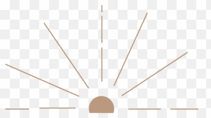 For Photographers - Composite Material Png,Camel Png