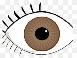 Blue Eyes Clipart Brown - Art png