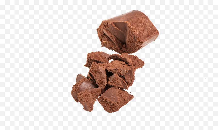 Cocoa Processing Bühler Group - Chocolate Brownie Png,Cocoa Png