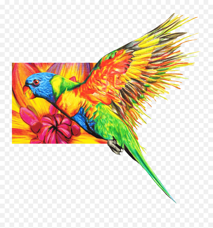 Welcome To Chameleon Art Products Pens - Macaw Png,Chameleon Png