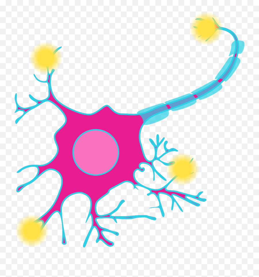 Neuron Png - Nerve Cell Clipart,Neuron Png