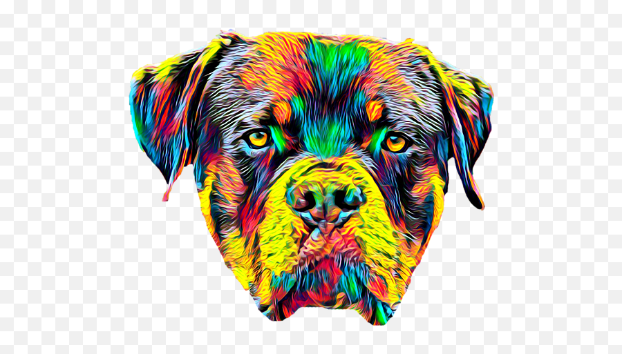 Rottweiler Dog Breed Head Pet Portrait Duvet Cover - Boxer Png,Rottweiler Png