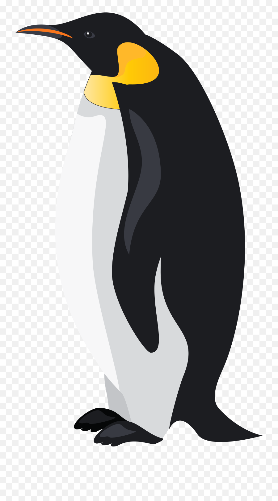 King Penguin Bird Emperor Clip - Emperor Penguin Clipart Png,Penguin Transparent