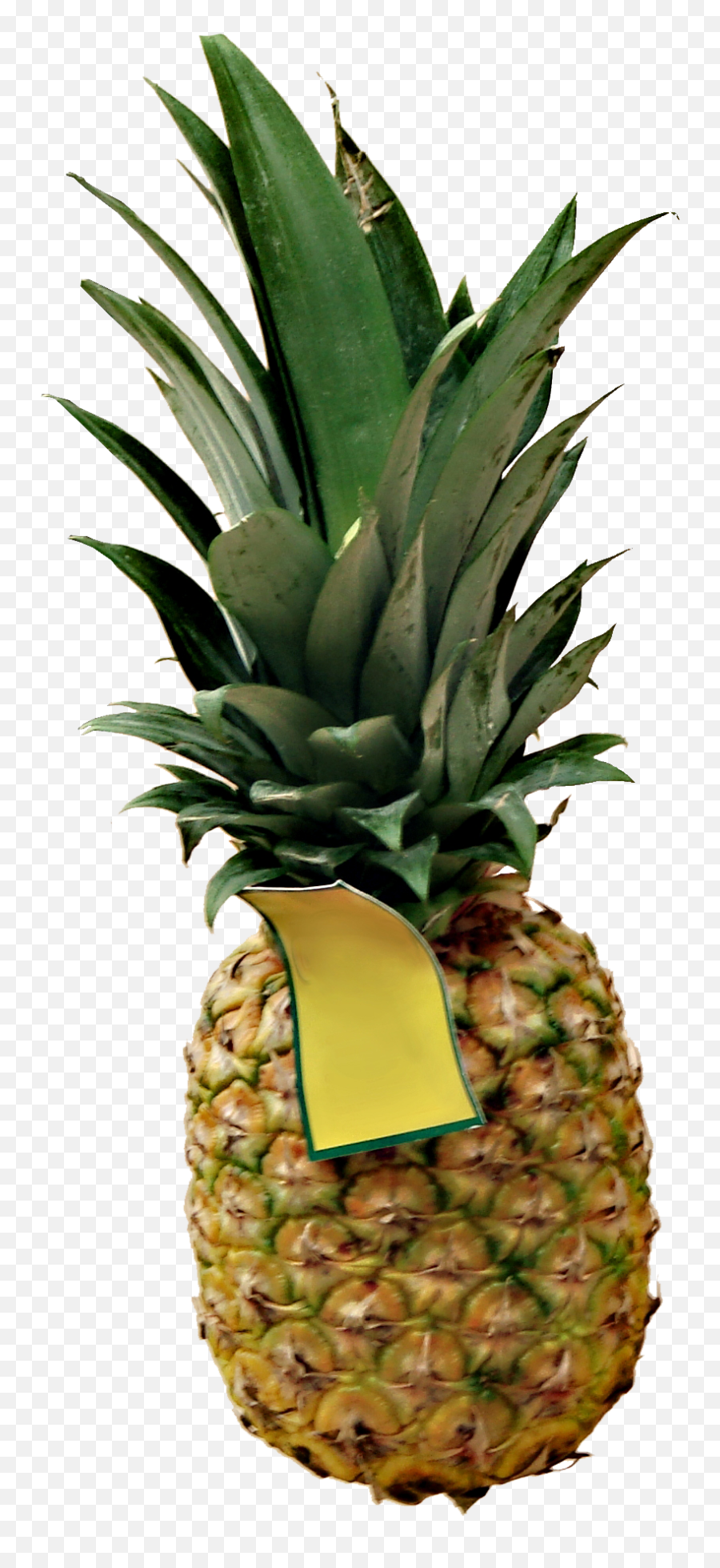 Download Hd High Definition Pineapple Png Picture - Ananas,Pineapple Clipart Transparent Background