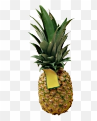 Download Hd High Definition Pineapple Png Picture - Ananas