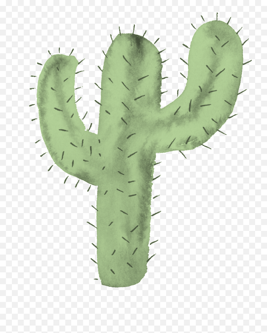 Sturdy Cactus Cartoon Transparent - Portable Network Graphics Png,Cactus Transparent