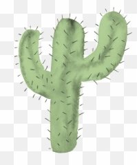 Sturdy Cactus Cartoon Transparent - Portable Network Graphics png