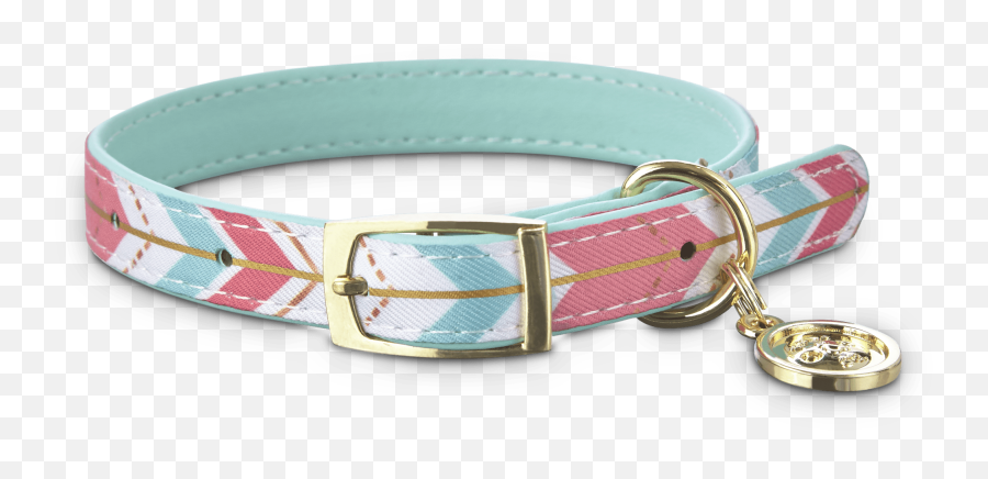 Bond U0026 Co Gold Chevron Small Dog Collar Xxs Petco - For Teen Png,Dog Collar Png Bond U0026 Co Gold Chevron Small Dog Collar Xxs Petco - For Teen Png,Dog Collar Png