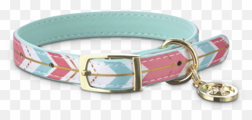 Bond U0026 Co Gold Chevron Small Dog Collar Xxs Petco - For Teen Png,Dog Collar Png