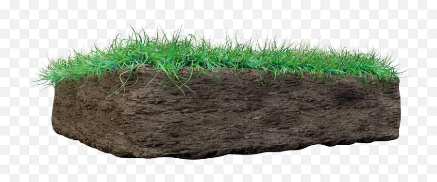 Soil Png - Grass With Mud Png,Soil Png