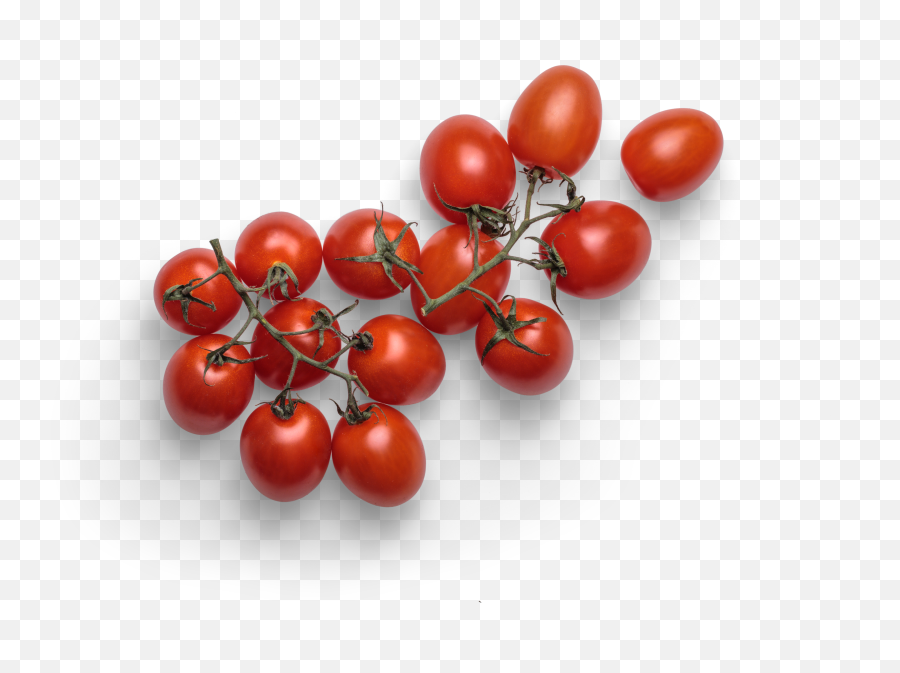 Cherry Graphic Asset - Tomato Png,Cherry Transparent Background