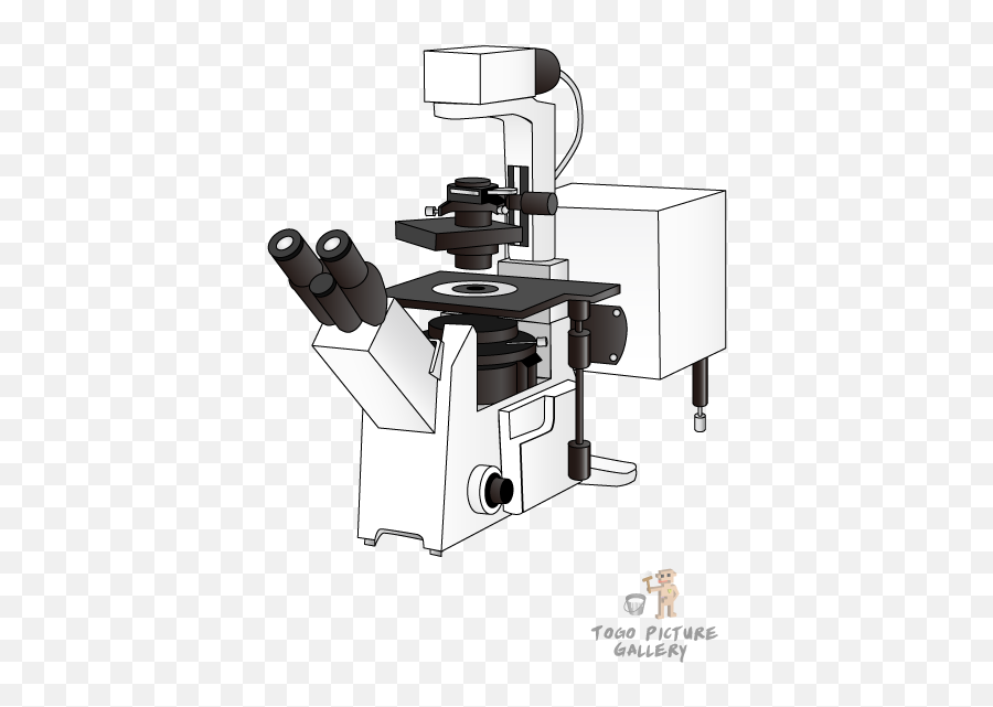 Png Transparent Images - Confocal Laser Scanning Microscope Png,Microscope Png