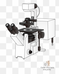 Png Transparent Images - Confocal Laser Scanning Microscope Png,Microscope Png