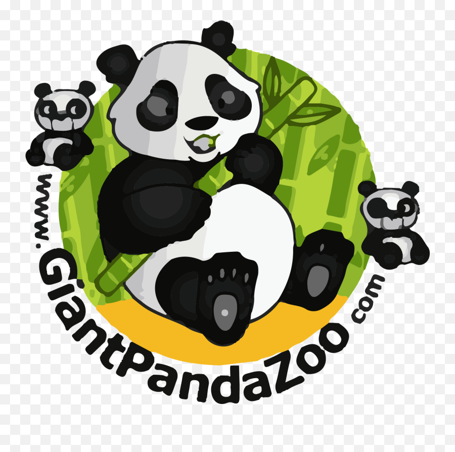 Giant Panda China Oso Glogster Edu - International School Library Month 2020 Png,Panda Eyes Logo