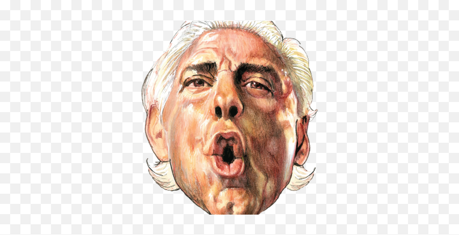 Home - Roast Of Ric Flair Png,Ric Flair Png