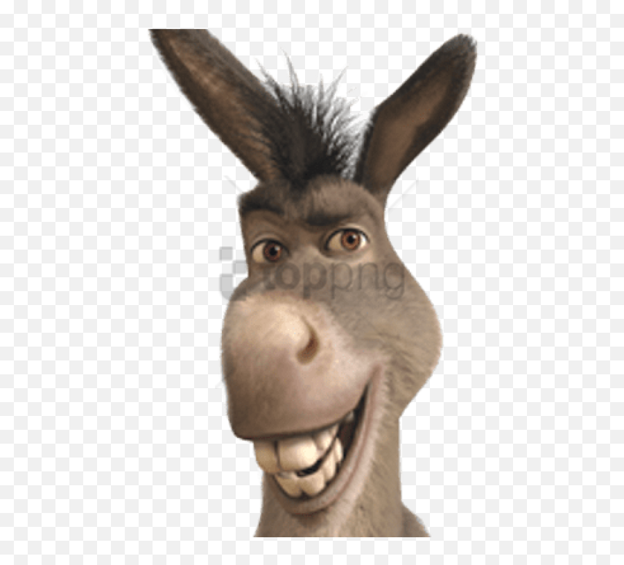 Donkey From Shrek Smiling Png Image - Donkey Shrek,Donkey Shrek Png