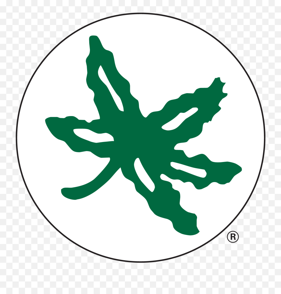 Png Transparent Ohio State - Ohio State Buckeye Leaf Vector,Ohio Png