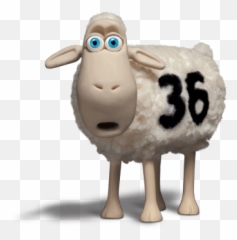 Serta Product Catalog Sertacom - Sheep png