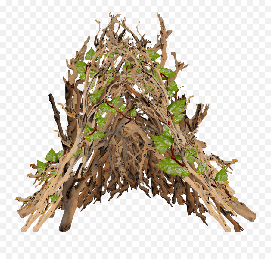 Download They Added Our Leaflets In To The Vines - Branch Twig Png,Wall Vines Png